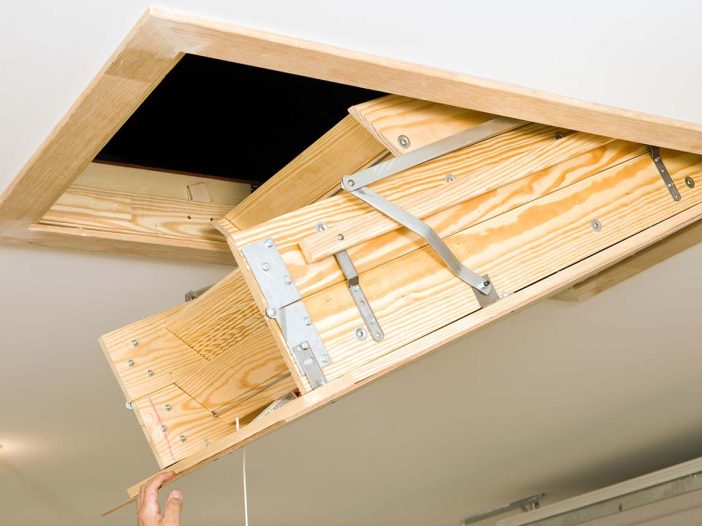 What to do if you hear an animal in your attic
